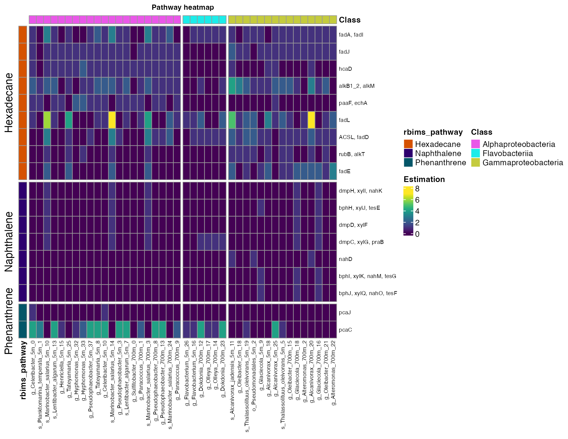 Figure 1. Abundance of hydrocarbon degradation pathways across bins.