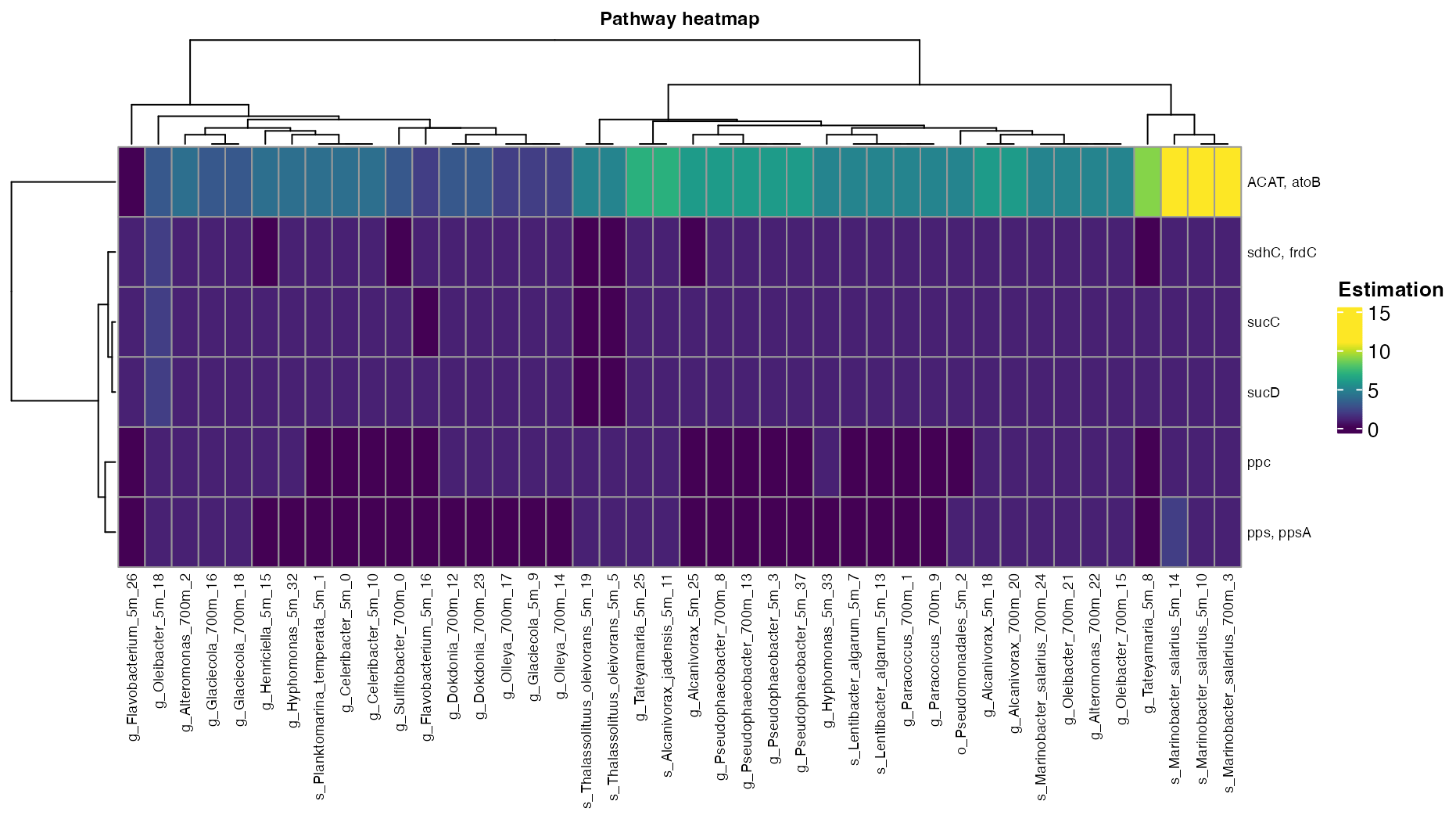 Figure 3. Abundance of the Carbon fixation pathways across bins.