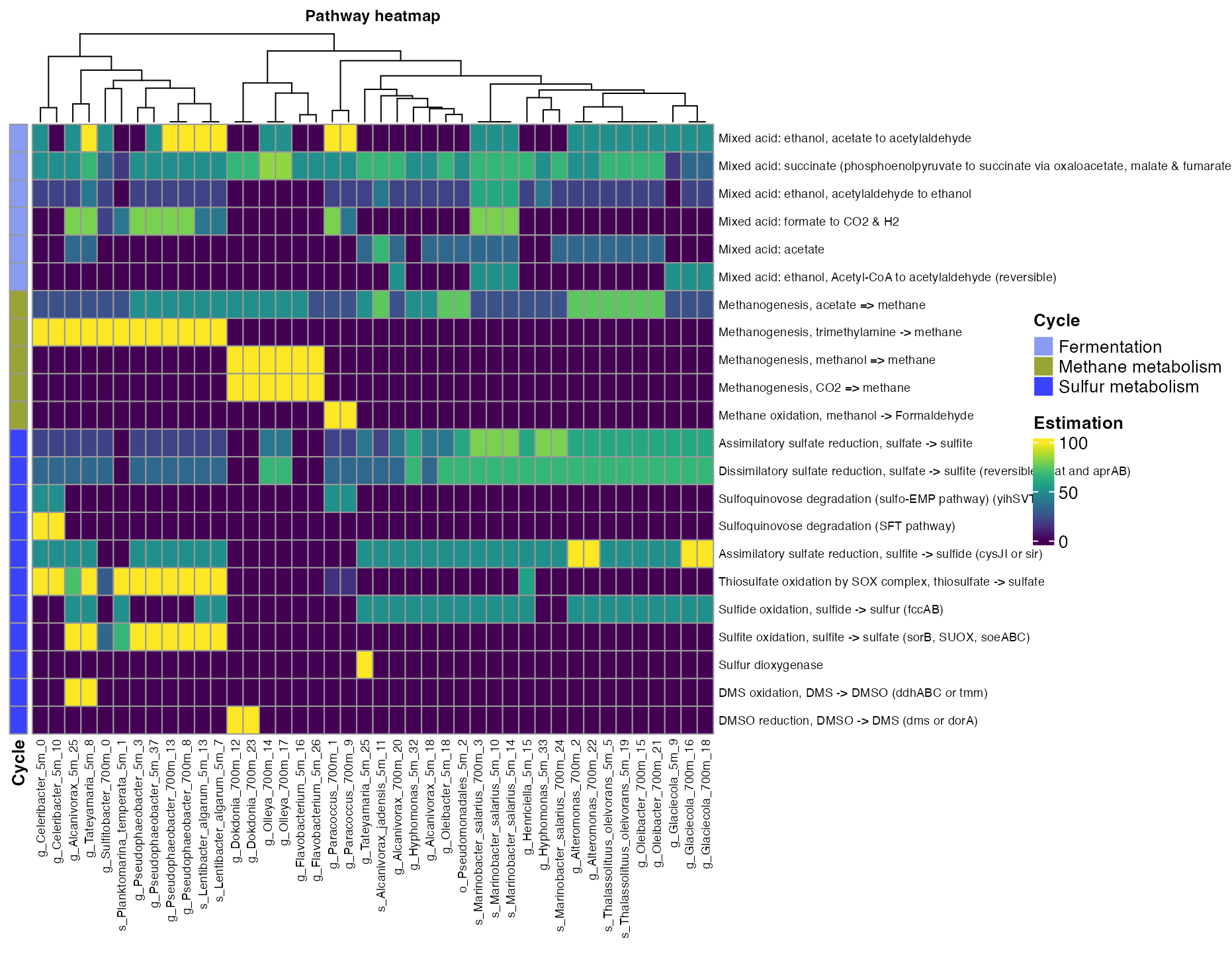 Figure 4. Coverage of mayor metabolic pathways across bins.