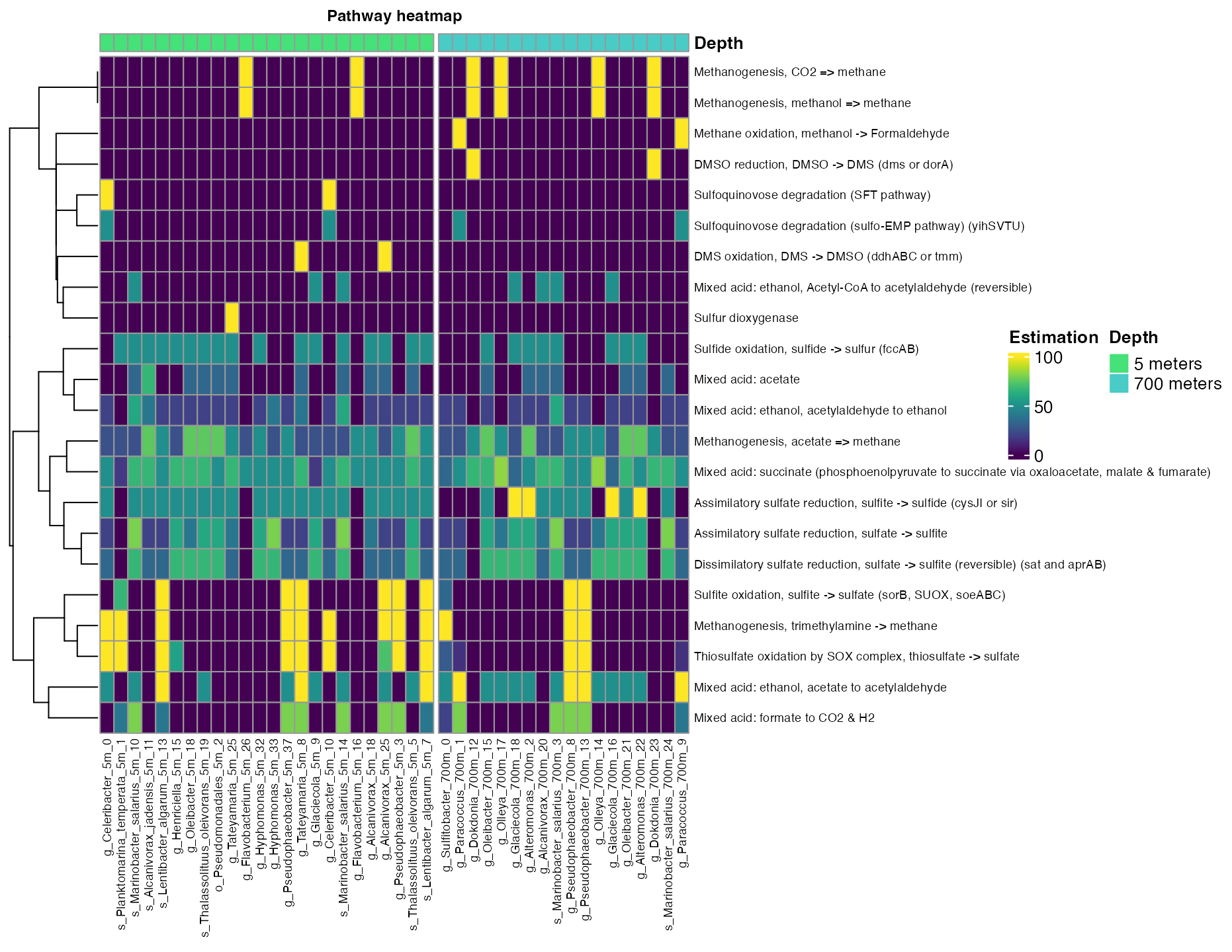 Figure 5. Coverage of mayor metabolic pathways across bins in different depths.