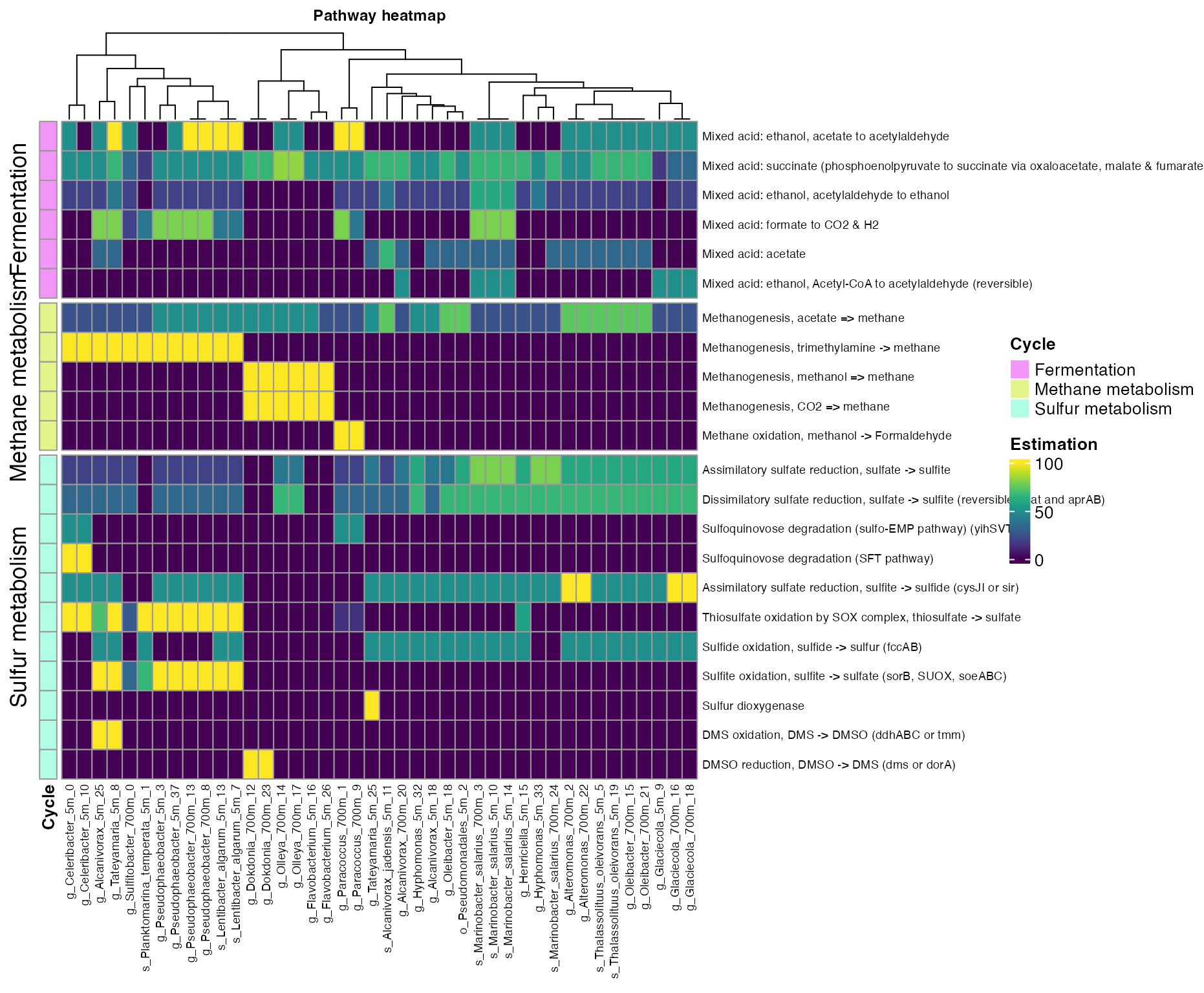 Figure 6. Coverage of mayor metabolic pathways across bins.