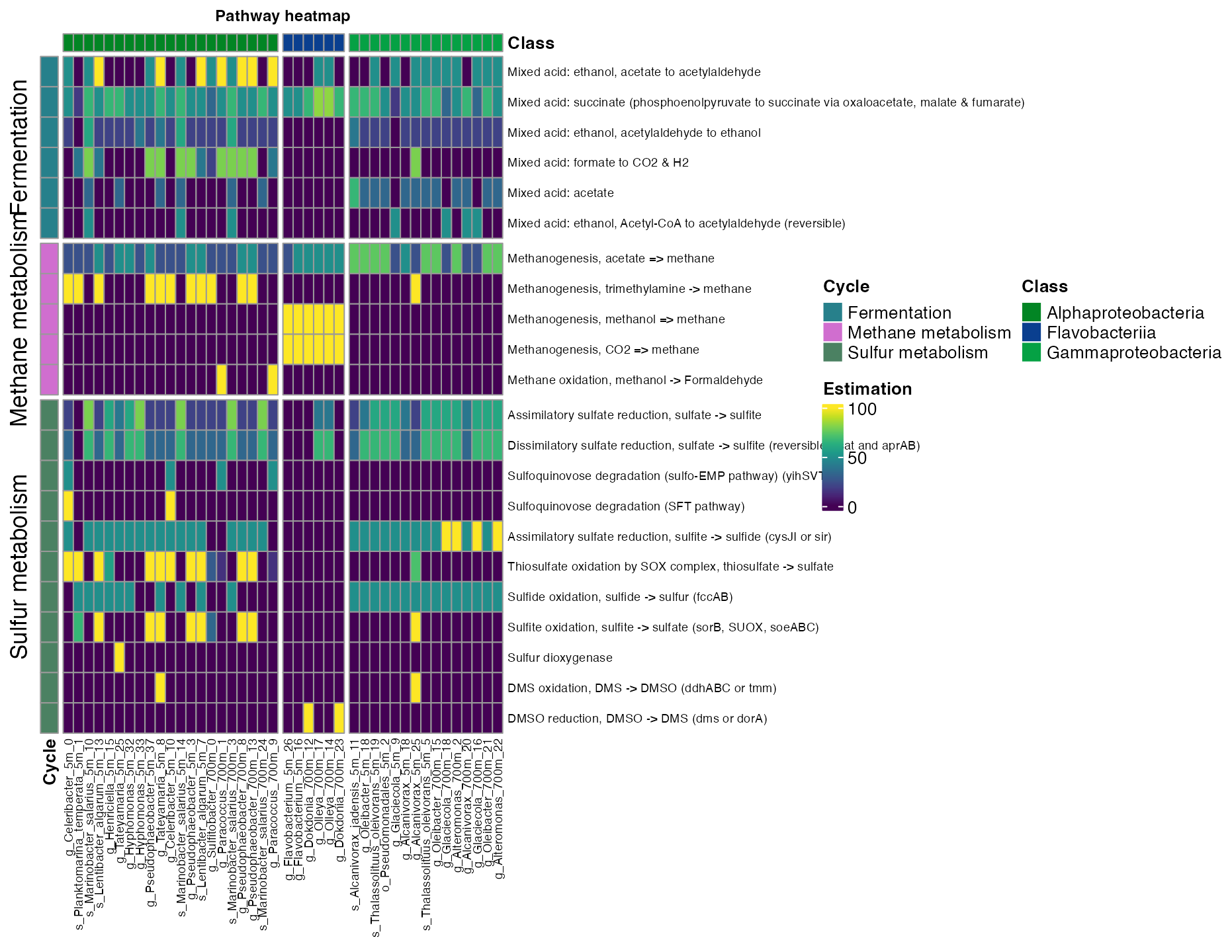 Figure 7. Coverage of mayor metabolic pathways across taxonomic class.
