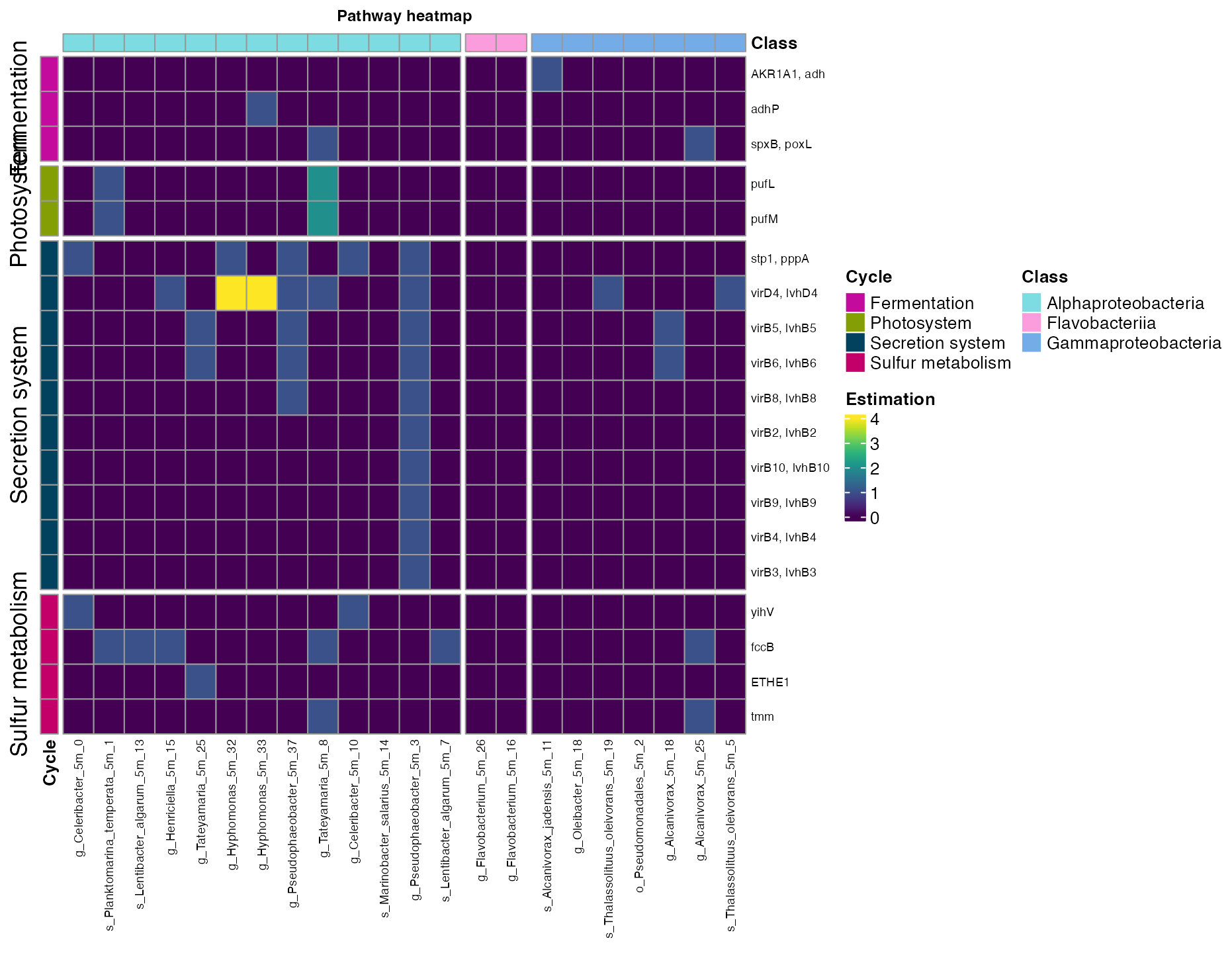 Figure 8. Metabolic pathways across bins from the five meters sampling site.