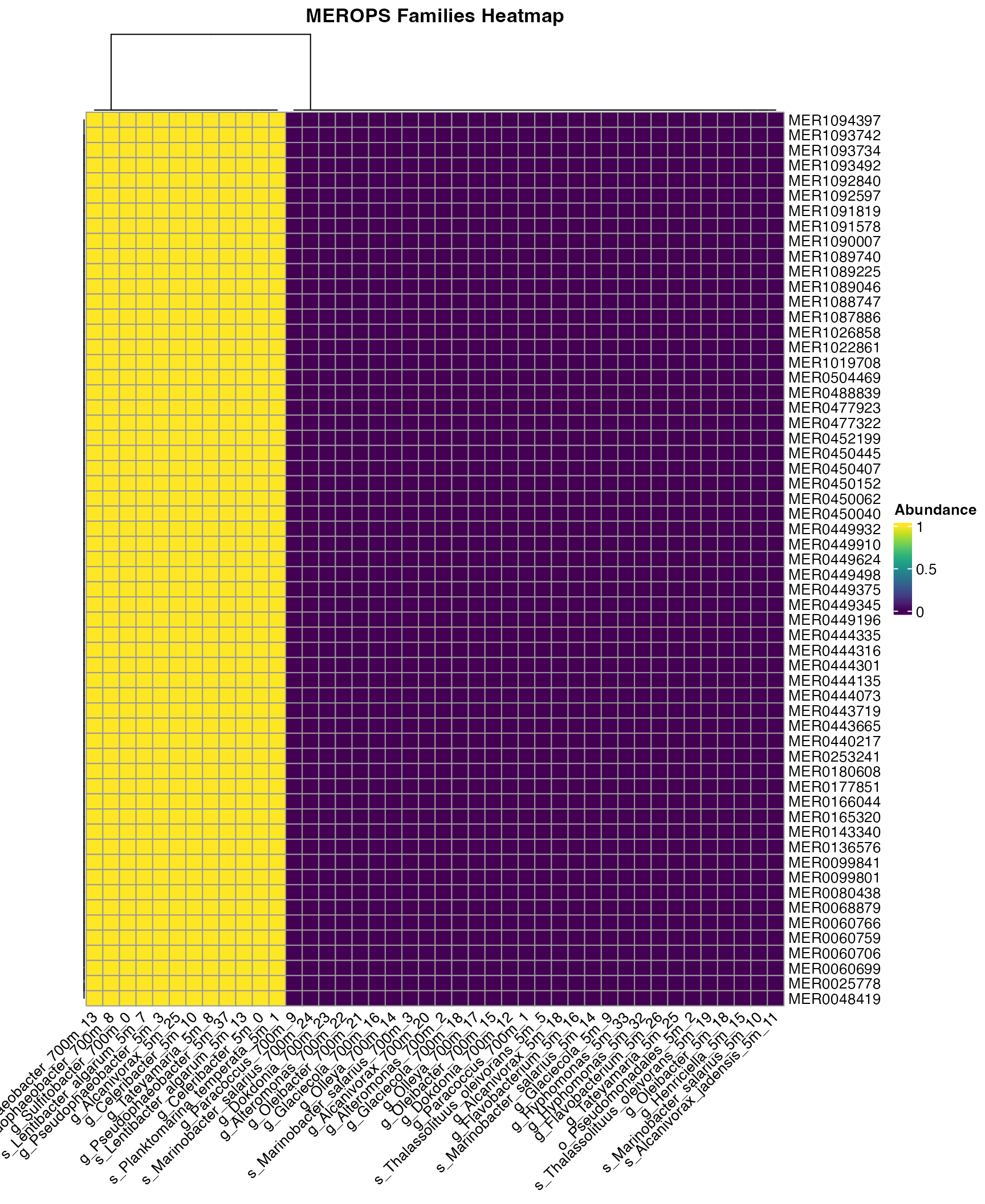 Figure 2. Presence/Absence of MEROPS families across bins.
